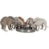 TRIXIE Junior Puppy dubenėlis, 1.4 l/29 cm