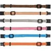 Trixie Junior Antkaklių kompl., M–L 22–35 cm/10 mm, 6 vnt. fuksija, grafito, ind (pak.4)
