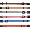 Trixie Junior Antkaklių kompl., S–M 17–25 cm/10 mm, 6 vnt. fuksija, grafito, ind (pak.4)