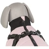 Trixie Pontis, liemenė su dirželiais, šunims, rožinė, XS, 30 cm (TX-6803462)