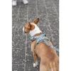Trixie Premium FlexMesh petnešos, sage, M: 58–80 cm / 20 mm, tinka mopsams ir buldogams
