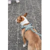 Trixie Premium FlexMesh šunų petnešos, šalavijų spalvos, S–M: 48–69 cm / 20 mm, tinka mopsams ir buldogams