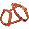Trixie Premium, szelki typu H, šuniui, rdzawe, XS–S: 30–44 cm/10 mm