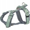 Trixie Premium trekking szelki šuniui szałwiowy/grafito M: 53–64 cm/20 mm