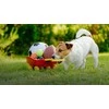 Trixie Soccersmiley Polska pliušinis žaislas, 3 stiliai, pliušinis, 14 cm