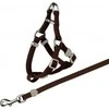 Trixie Komplektas katei nailoninis su petnešom,26-37 cm/10mm, 1,20m