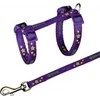 Trixie Komplektas katei nailoninis su petnešom,22-36 cm/10mm, 1,20m