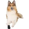TRIXIE Walker Care apsauginiai batukai, XXXL, 2 vnt., juodi