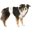 Trixie TX-23640 PIELUCHY DLA PSÓW XS 20-42cm pakuotėje 12vnt.