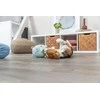 Trixie TX-36164 Žaislas Pliušinis JUNIOR MIŚ 14cm