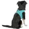 Trixie UrbanVest šunų drabužis XS: 38–41 cm/15 mm aqua