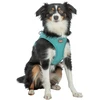 Trixie UrbanVest šunų drabužis XS: 38–41 cm/15 mm aqua