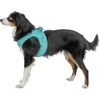 Trixie UrbanVest šunų drabužis XS: 38–41 cm/15 mm aqua