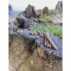 Trixie Insect Sticks kabanosy su insectów šuniui 80 g