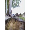 Trixie Insect Sticks kabanosy su insectów šuniui 80 g