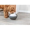 Trixie Vital Dome drinking fountain, 1.5 l/20×10×20 cm, pilkas/baltas