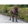Trixie Walker Active Long, batai, šunims, XL, juodi, 2 vnt./pak