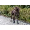 Trixie Walker Active Long, batai, šunims, M-L, juodi, 2 vnt./pak