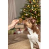 TRIXIE Xmas Imbierinukas su vištienos krūtinėle, 31 g (pak.90)