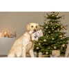 Trixie Xmas Meškiukas, žaislas, šuniui, pliušinis, 19 cm