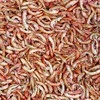 Tropical GAMMARUS PUSHKA 1000ml