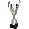 Tryumf Triumph Cup metalinis sidabras (4127E)