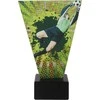 Tryumf Triumph Glass futbolo trofėjus Triumfas