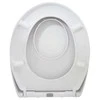 Domoletti TOILET SEAT DOMOLETTI YHUF-R7