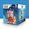 Numskull - Sonic Tubbz DĖŽUTĖJE Amy Rose