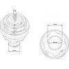 TurboWorks_F BLOW OFF turboWorks B80D Dyzelinas