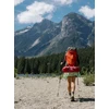 Turistinė palapinė MSR 1-person tent Eliksyras 1 - žalias/žalias (694784)