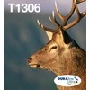 „Epson T1306 Multipack Easy Mail Packaging“ – 3 vnt. pakuotė – geltona, žydra, rausvai raudona – originali – dėžutė – rašalo kasetė – skirta „WorkForce WF-3010DW“, „WF-3530DTWF“ (C13T13064510)