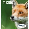 Epson T1285 EasyMail „Fox“ rašalo daugiapakopė (4 spalvų)