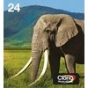 Tusz Epson Tusze Multipack 6 pakuočių CMYK, šviesiai purpurinė, šviesiai žydra (C13T24284510)