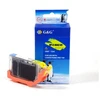 G&G rašalo kasetė, suderinama su Canon CLI-42GY/ 6390B001 (10284), rašalas