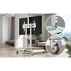Laikiklis TV SET ACC MOBILE STAND/40-70"/Baltas TS1552-W ONKRON