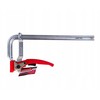 Įrankių rinkinys Tvardy Ścisk zapadkowy kuty typu F 250x100mm (20)