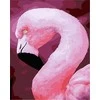 Twoje Hobby Tapyba pagal skaičius. Flamingas, 40x50cm