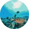 Twoje Hobby Tapyba skaičiais apvali - Vėžlys rife.. 40