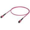 Ubiquiti šviesolaidinis kabelis OM4 MPO/UPC 1 m Rožinė (UACC-OFC-MA-MPMP-1M)
