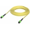 Ubiquiti Indoor OS2 single-mode fiber