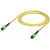 Ubiquiti Vidinės OS2 vienmodės šviesolaidžio B APC jungtys, skirtos 100G taikymams. 3M, 10 vnt. pakuotėje (UACC-OFC-SA-MPMP-3M-10)