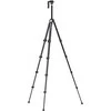 Trikojis Stovas - Ulanzi TT08 Ombra Anglies Pluošto 153cm 8kg Apkrovos Talpa
