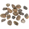 Ultimate Products Poliruoti „Tiger Pebble“ akmenukai 30–50 mm akvariumo terariumui, 10 kg/pak.