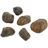 Ultimate Products Poliruoti „Tiger Pebble“ akmenukai 30–50 mm akvariumo terariumui, 10 kg/pak.