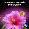 Domestos DOMESTIC Aroma Lux Hibiscus Oil &amp; Wild Berries tualetinių plytelių valiklis, 2 x 55 g