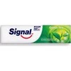 Unilever Mondex SIGNAL Herbal Extra dantų pasta 1