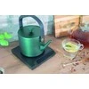 Virdulys Unold 18217 Virdulys Instant Jade