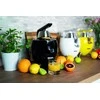 Sulčiaspaudė Citrusinė Spaudimo Mašina - Unold Citrus Press Power Juicy 300W, svirties rankena, 2 antgaliai, juoda sidabrinė
