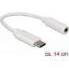 USB adapteris Delock USB-C – 3,5 mm baltas lizdas (65913)